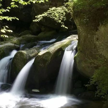 Meyer Hotel Beaufort