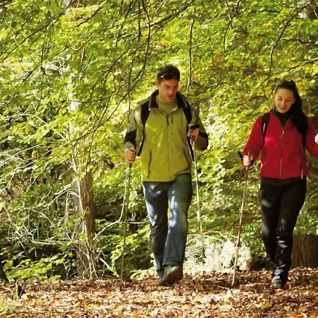 迈耶酒店 博福特